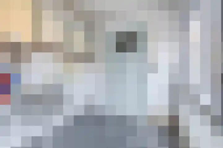 Zomerstraat 15 Hulst thumbnail 20