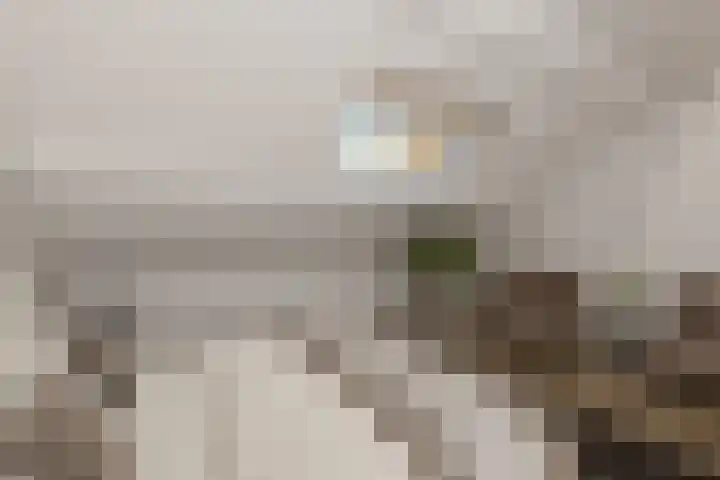 Zomerstraat 15 Hulst thumbnail 26