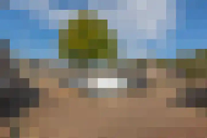 Zomerstraat 15 Hulst thumbnail 35