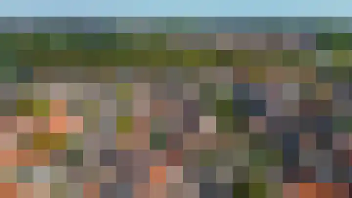 Zomerstraat 15 Hulst thumbnail 42
