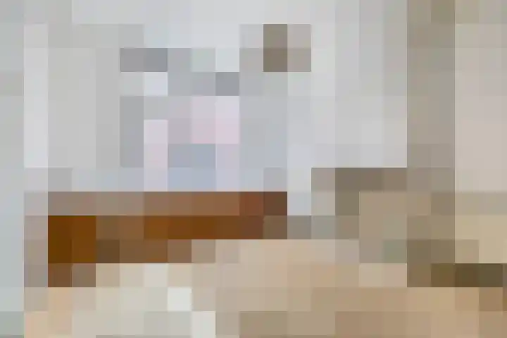 Zomerstraat 15 Hulst thumbnail 9