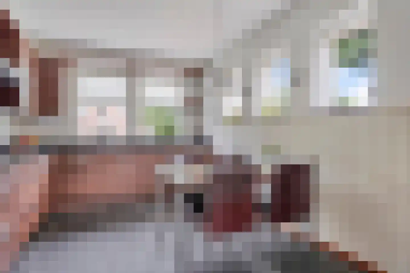 Zomerstraat 16 Lith thumbnail 14