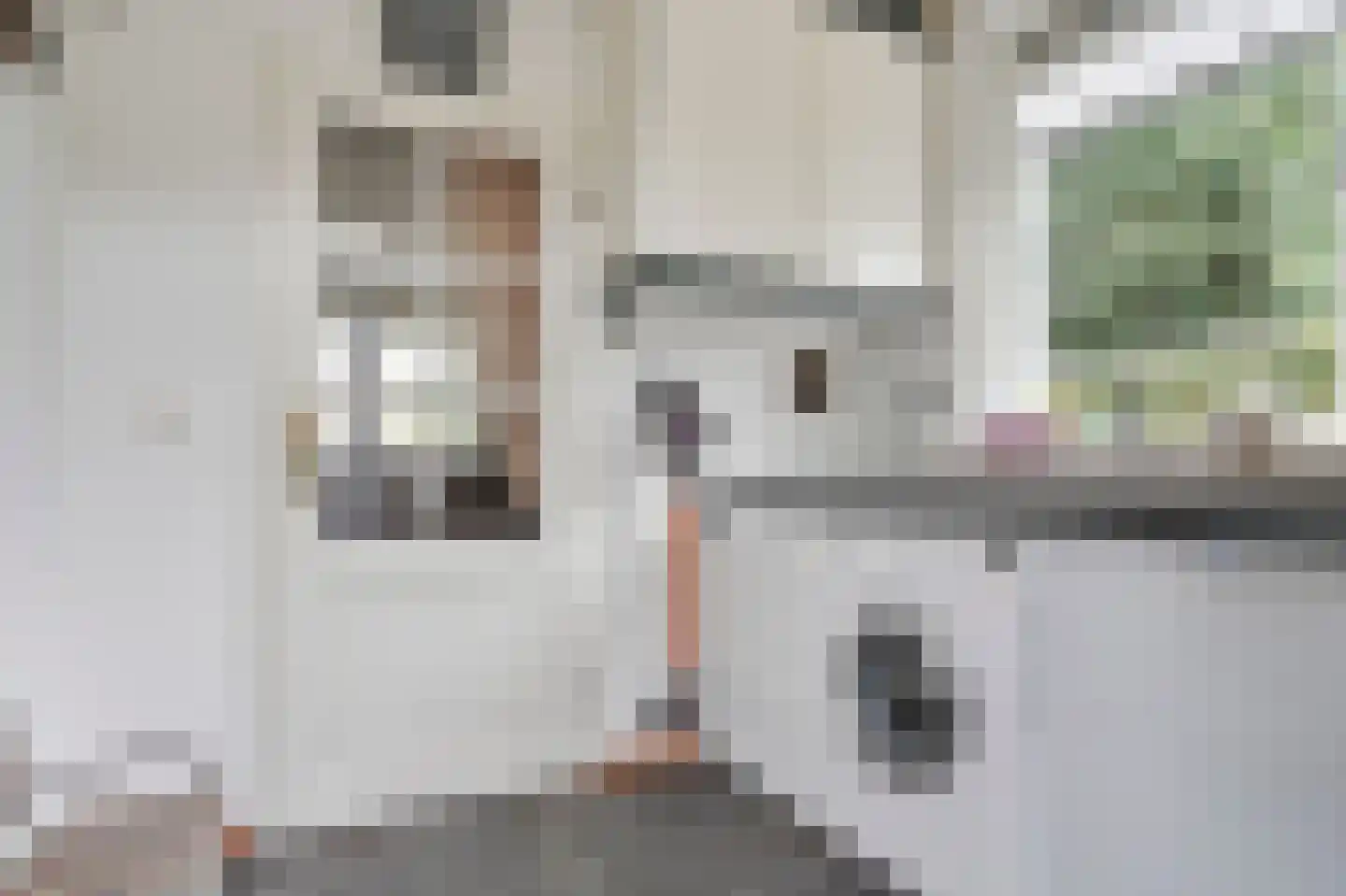 Zomerstraat 16 Lith thumbnail 18