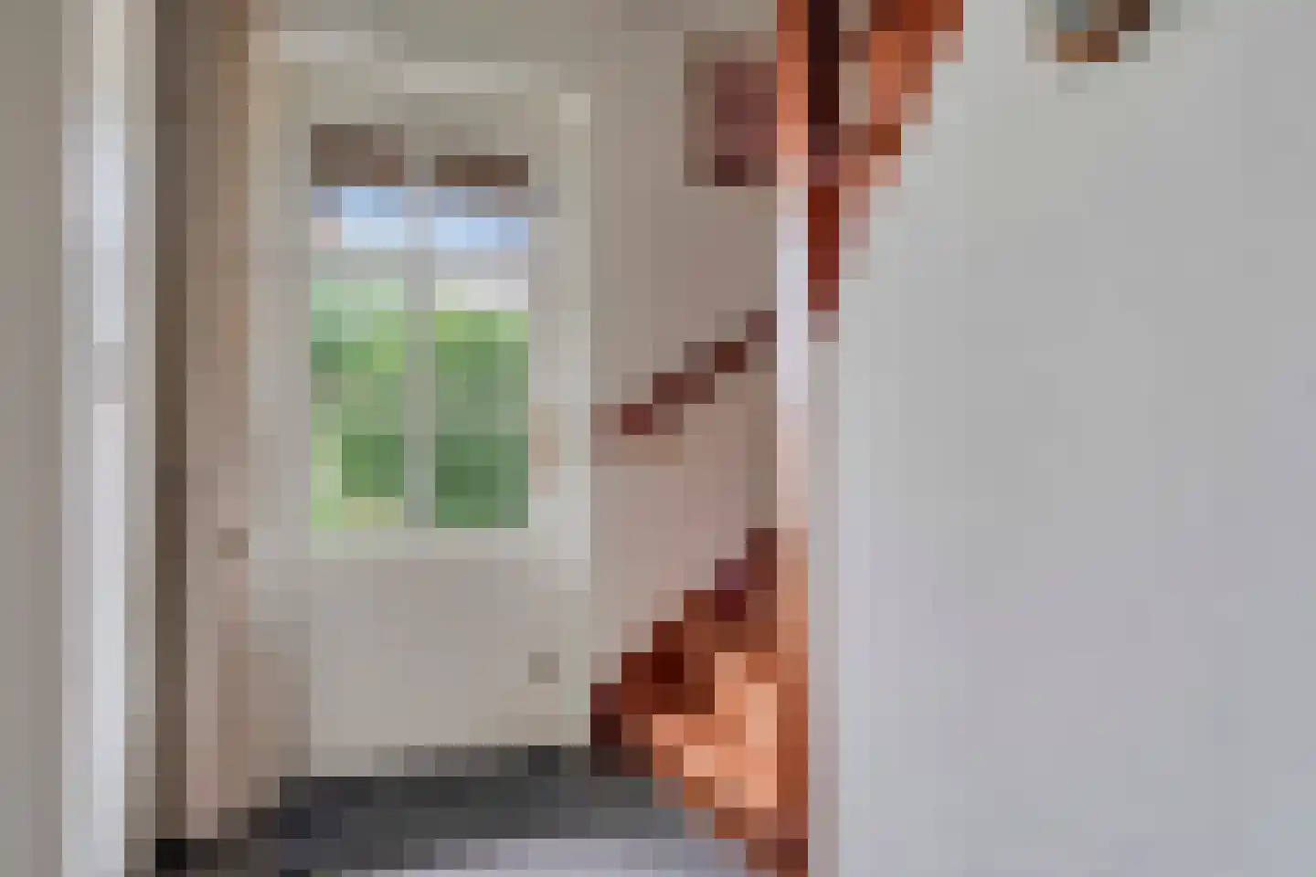 Zomerstraat 16 Lith thumbnail 20