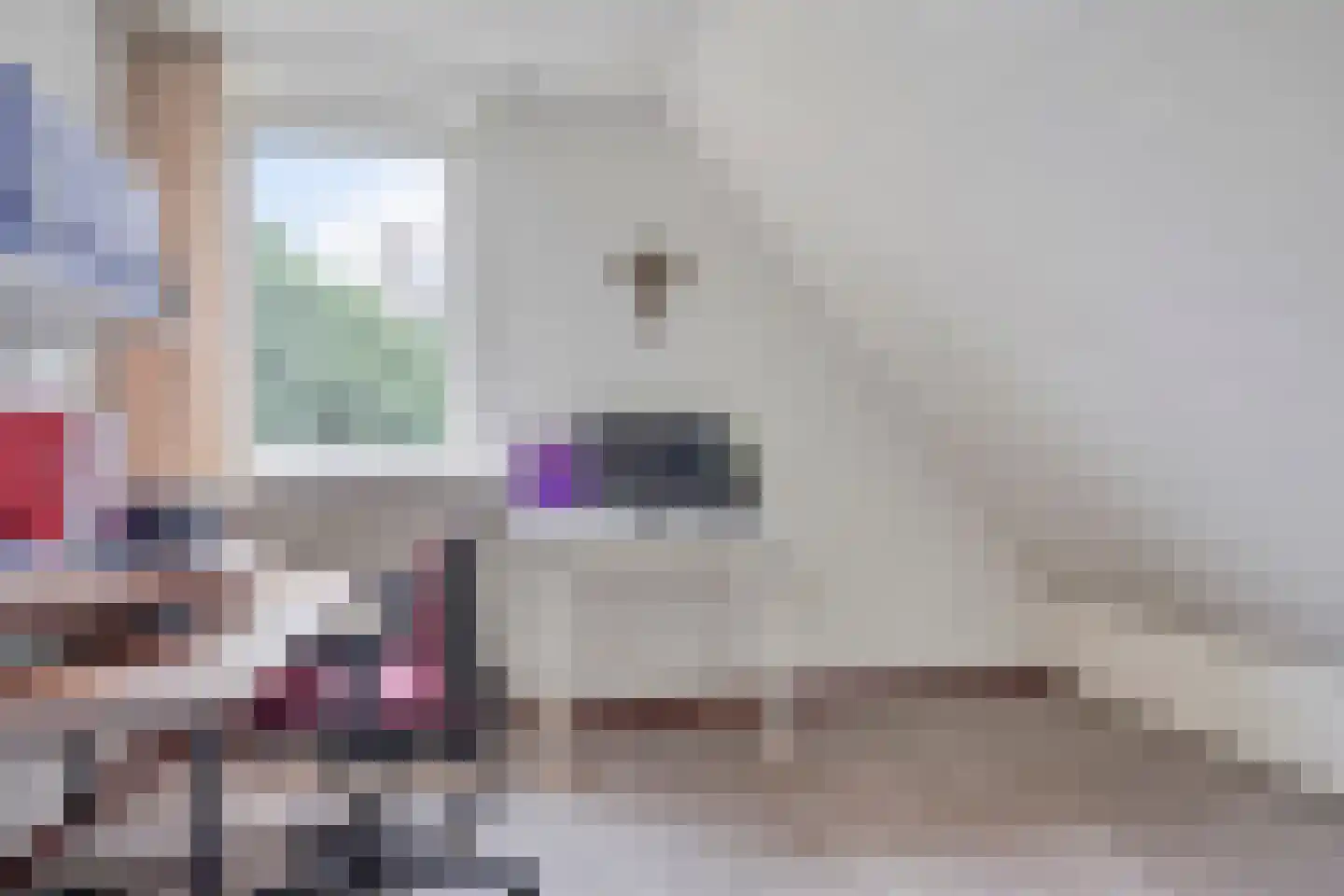 Zomerstraat 16 Lith thumbnail 31