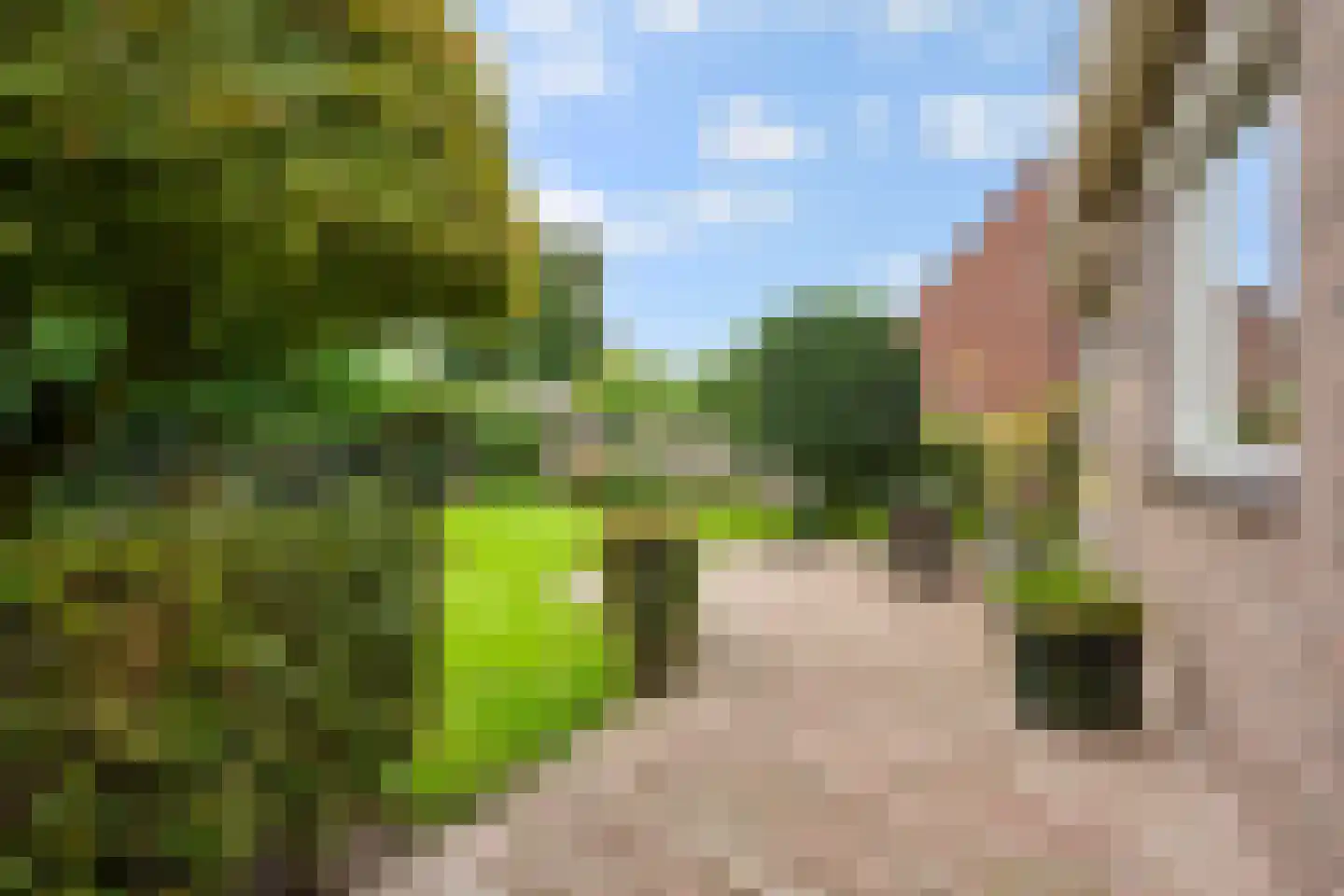 Zomerstraat 16 Lith thumbnail 36