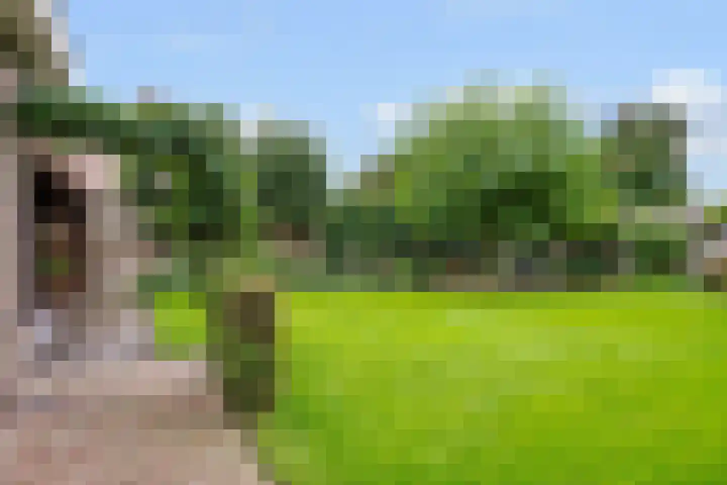 Zomerstraat 16 Lith thumbnail 37
