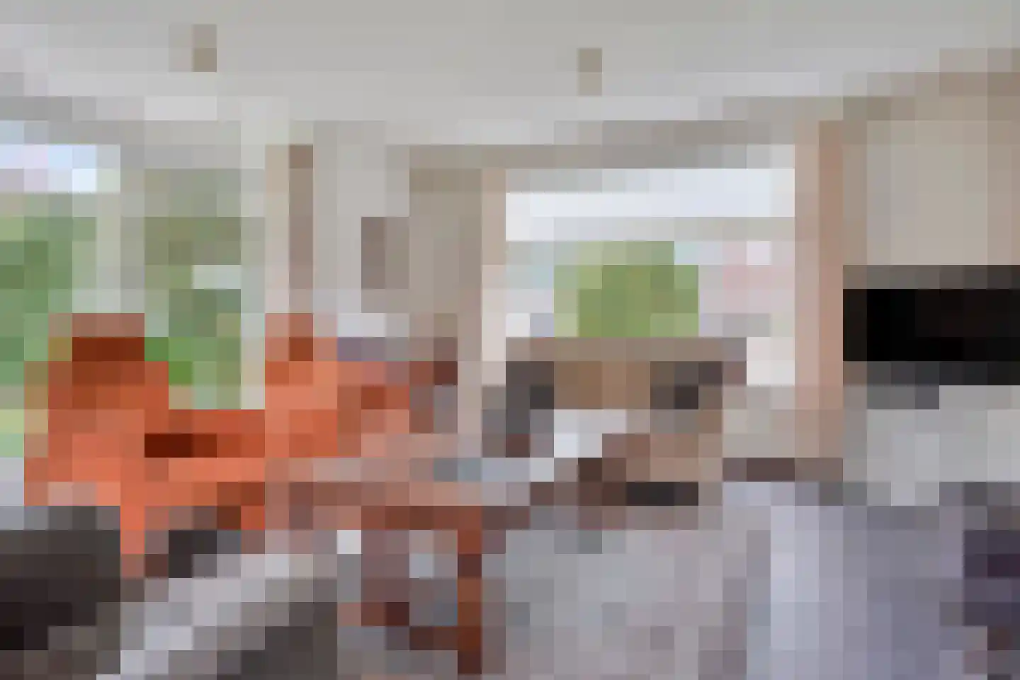 Zomerstraat 16 Lith thumbnail 8