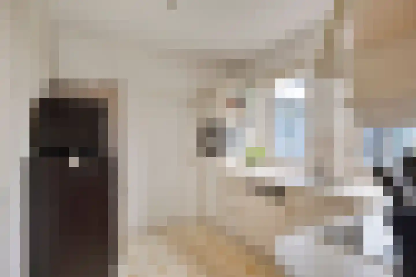 Zomerstraat 20 Lith thumbnail 12
