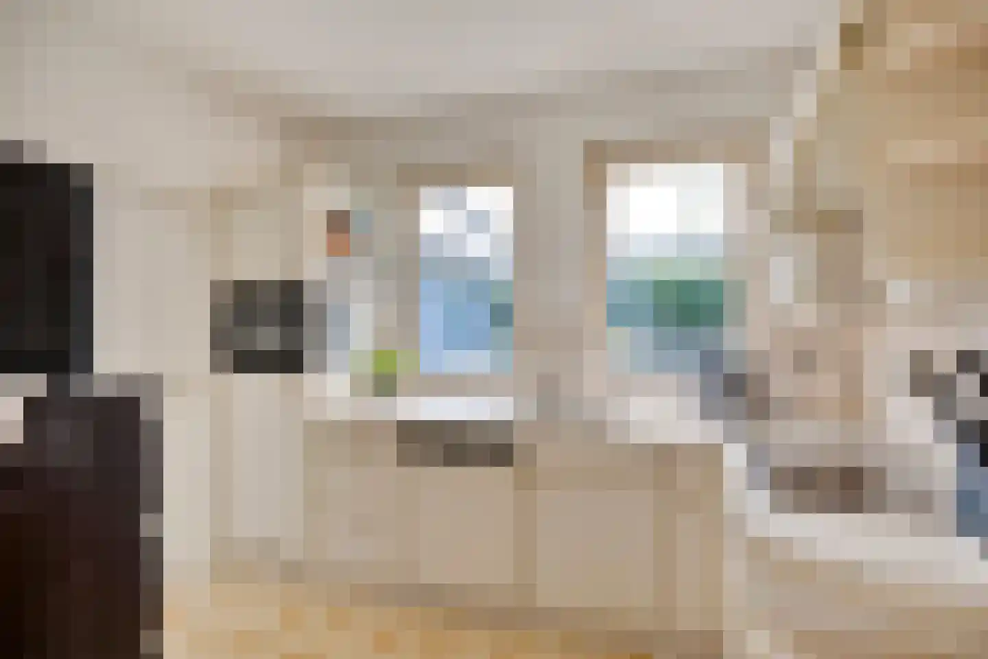Zomerstraat 20 Lith thumbnail 13