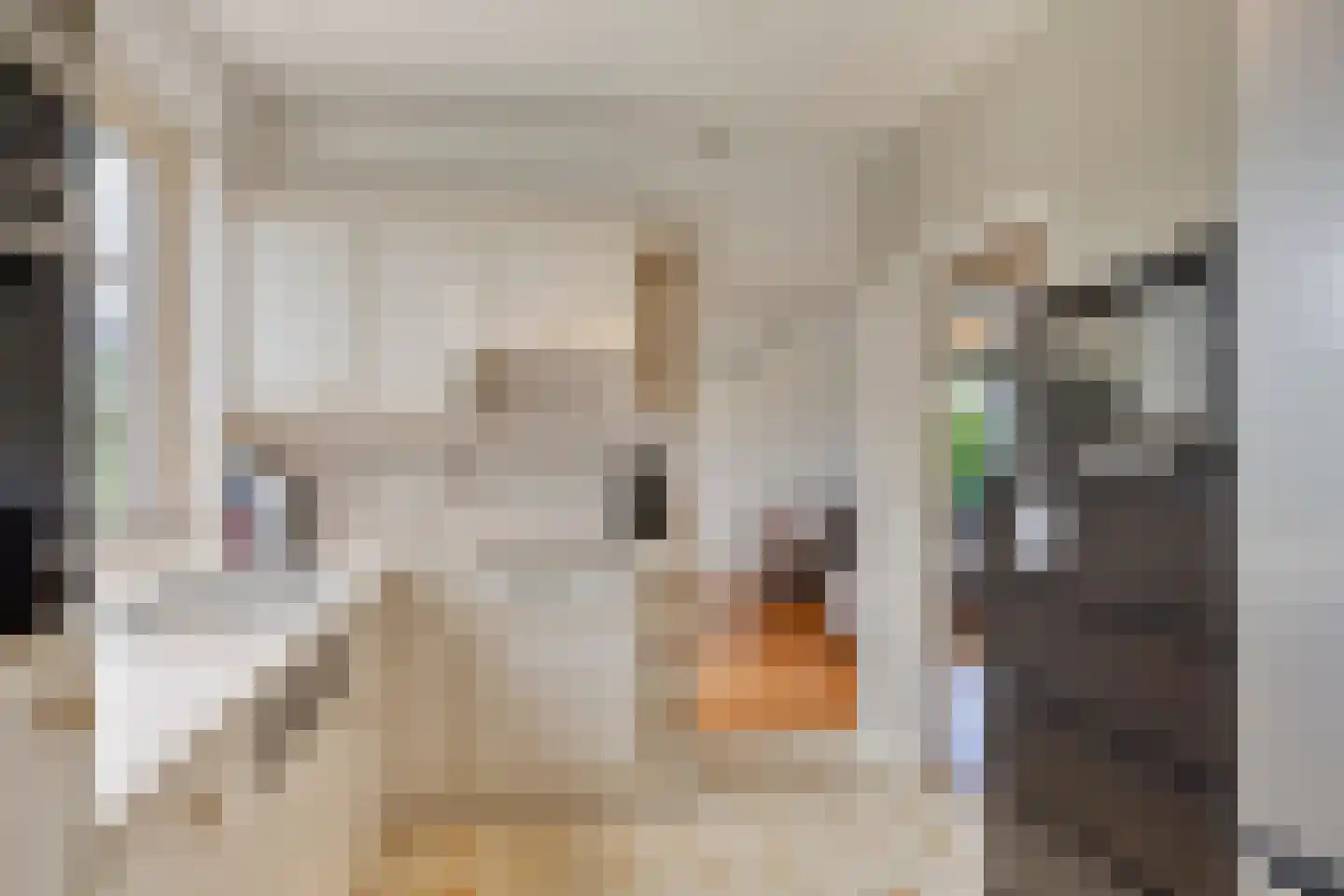 Zomerstraat 20 Lith thumbnail 14