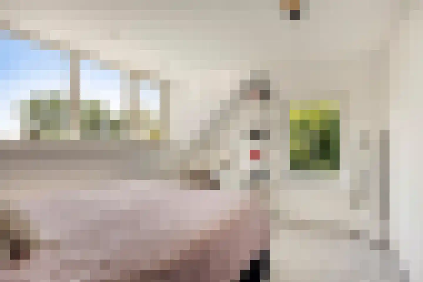 Zomerstraat 20 Lith thumbnail 21