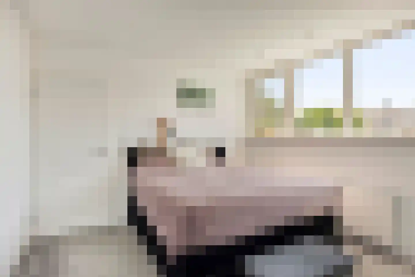 Zomerstraat 20 Lith thumbnail 22
