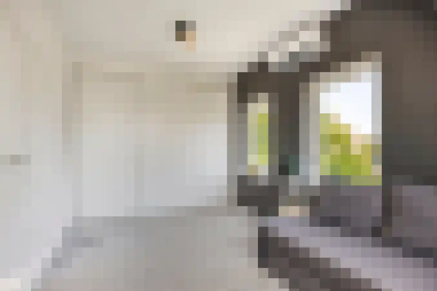 Zomerstraat 20 Lith thumbnail 26