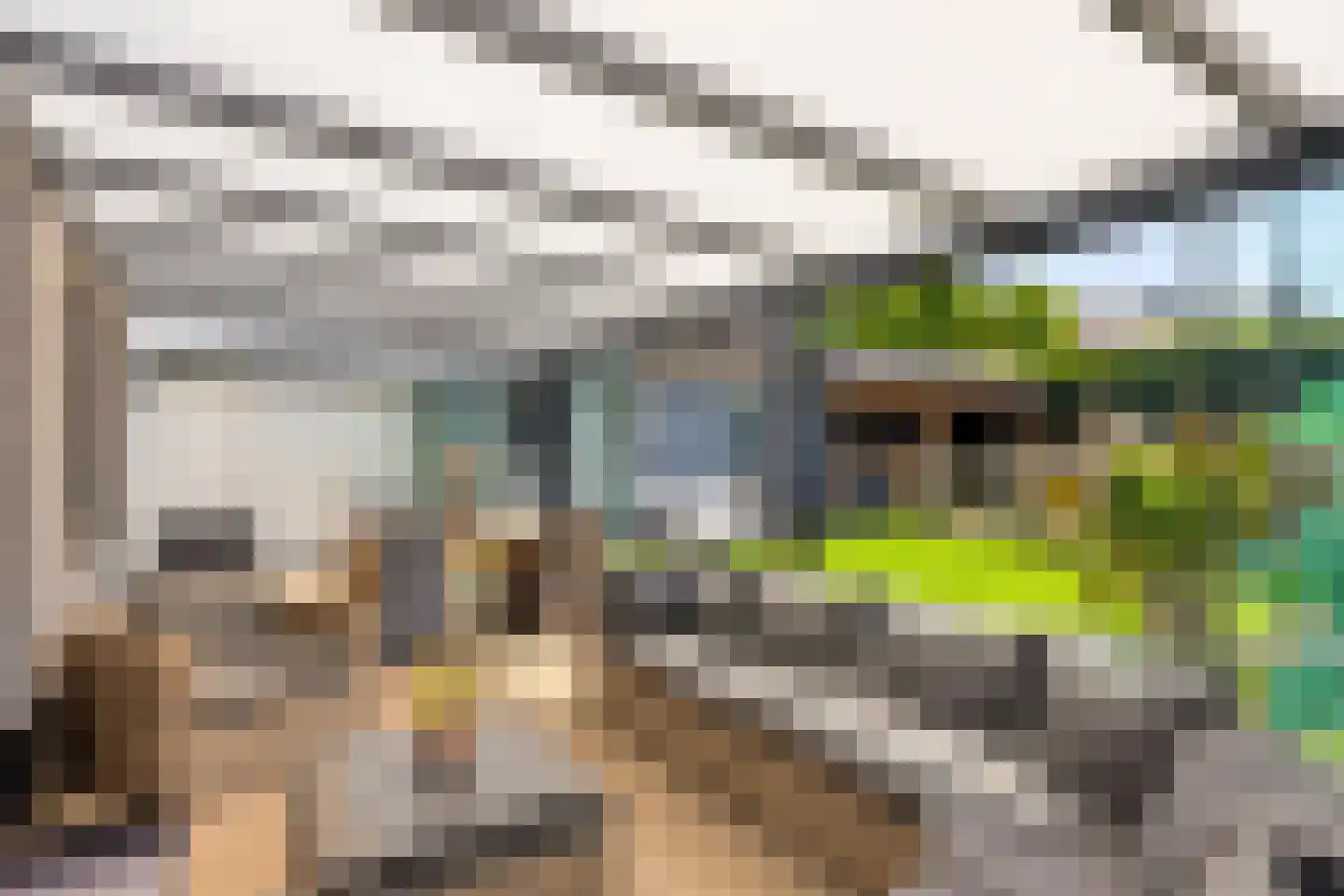 Zomerstraat 20 Lith thumbnail 31