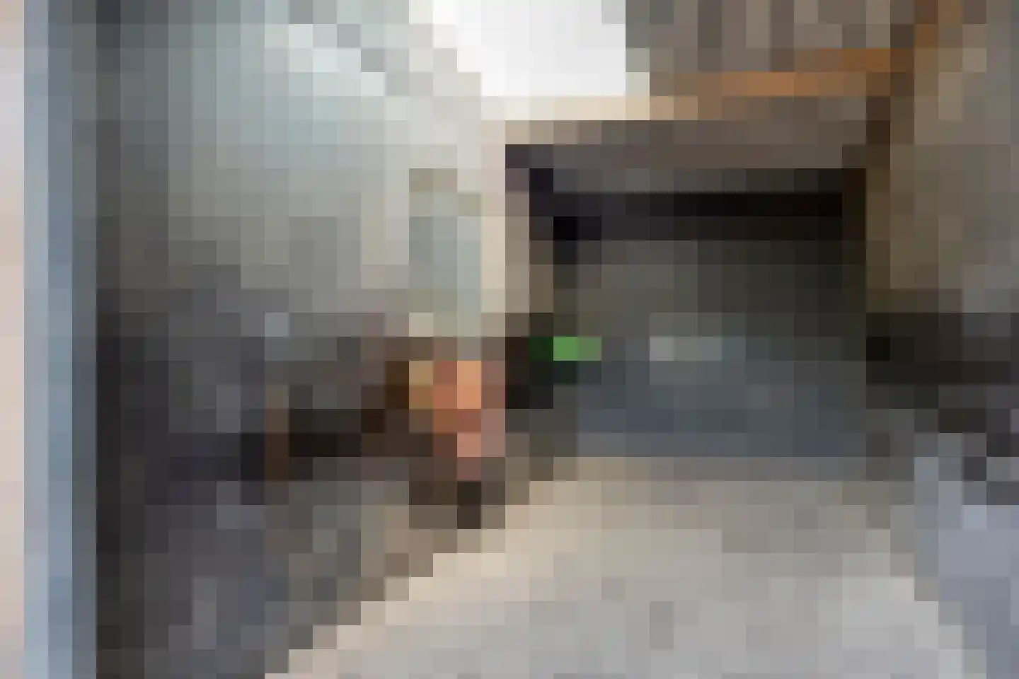 Zomerstraat 20 Lith thumbnail 40