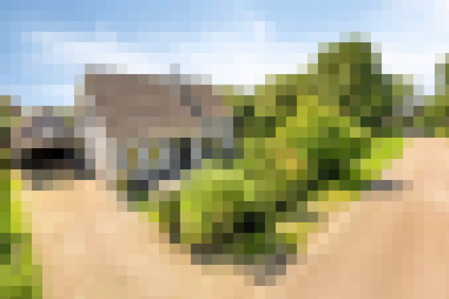 Zomerstraat 20 Lith thumbnail 43