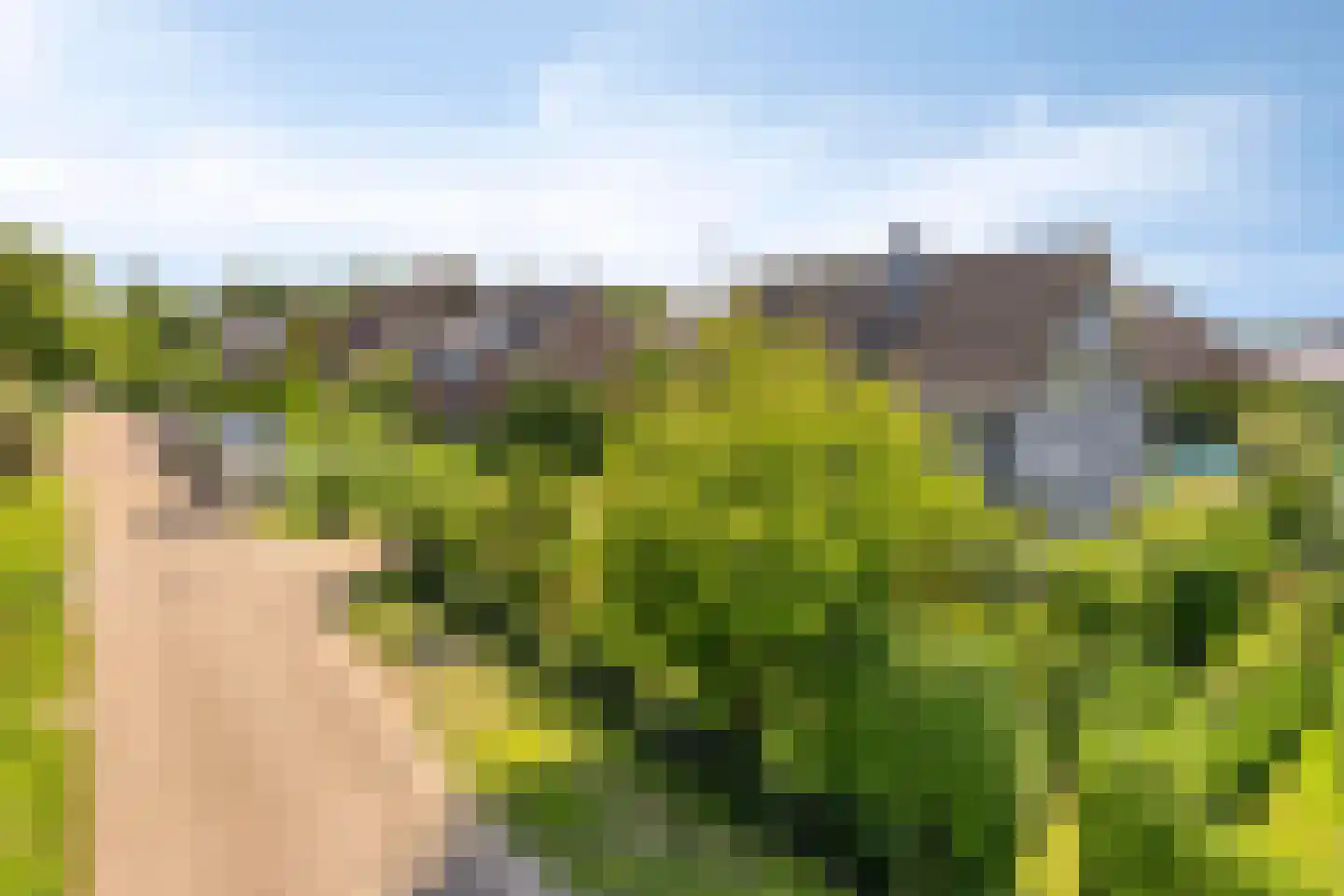 Zomerstraat 20 Lith thumbnail 48