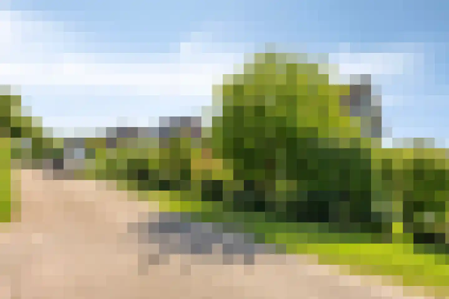 Zomerstraat 20 Lith thumbnail 49