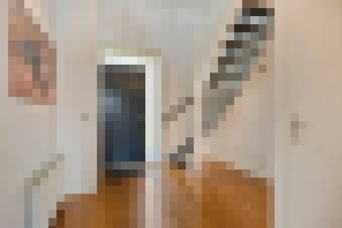 Zomerstraat 20 Lith thumbnail 5