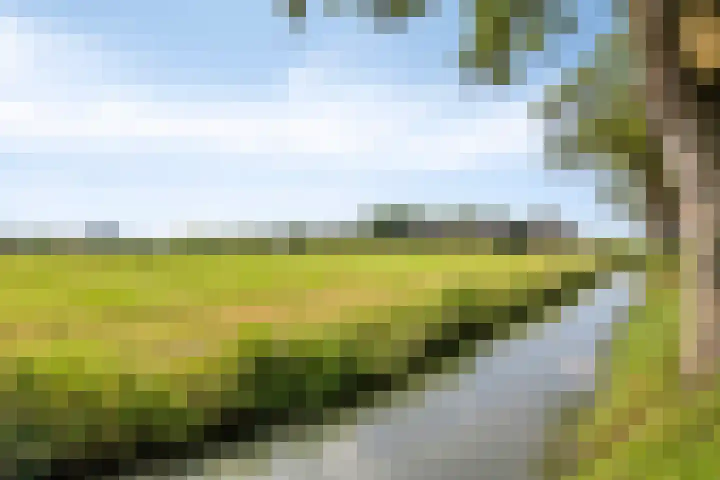Zomerstraat 20 Lith thumbnail 50