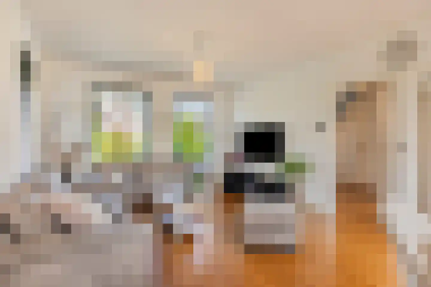 Zomerstraat 20 Lith thumbnail 8