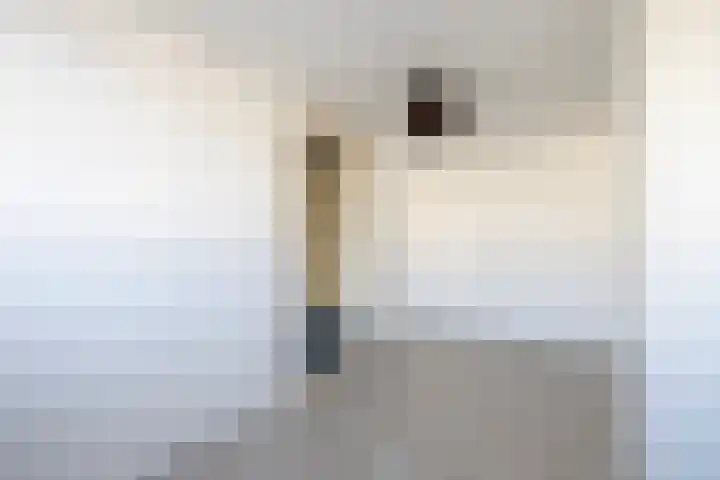 Zomerstraat 25 Haarlem thumbnail 30