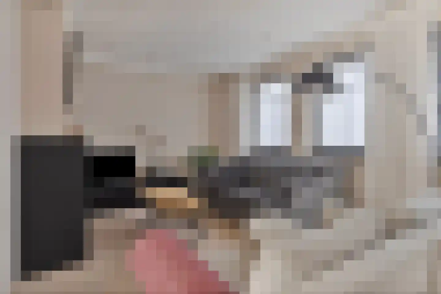 Zomerstraat 8 Hulst thumbnail 13