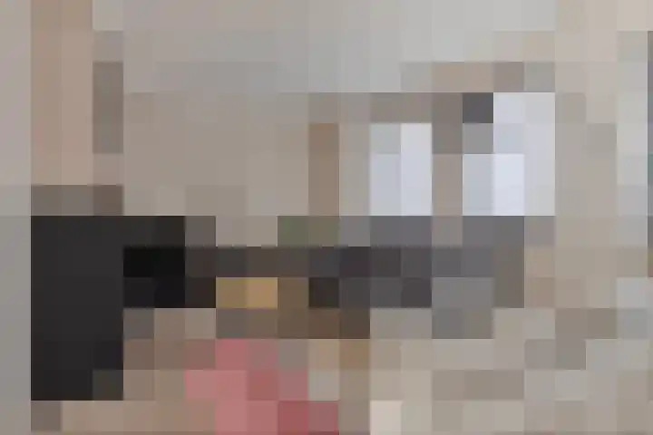 Zomerstraat 8 Hulst thumbnail 13