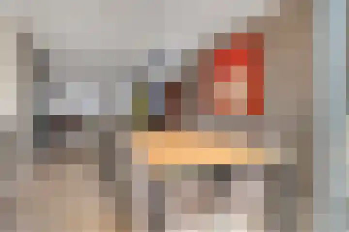 Zomerstraat 8 Hulst thumbnail 18