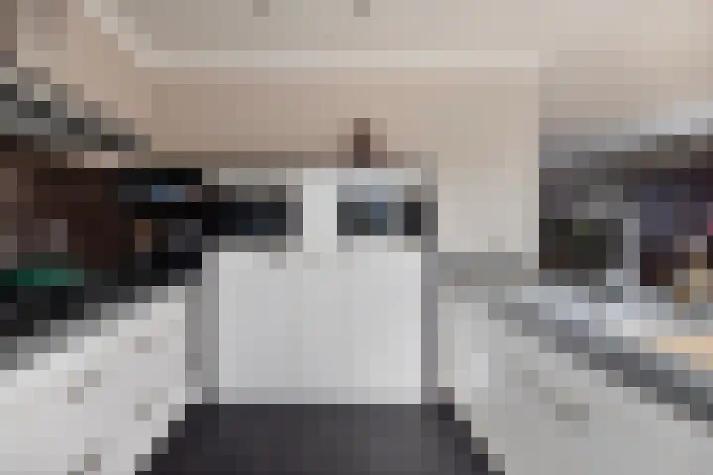 Zomerstraat 8 Hulst thumbnail 25