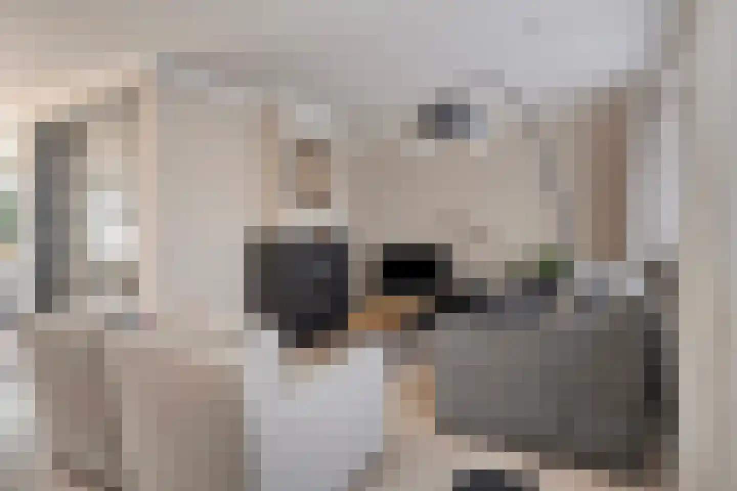 Zomerstraat 8 Hulst thumbnail 4