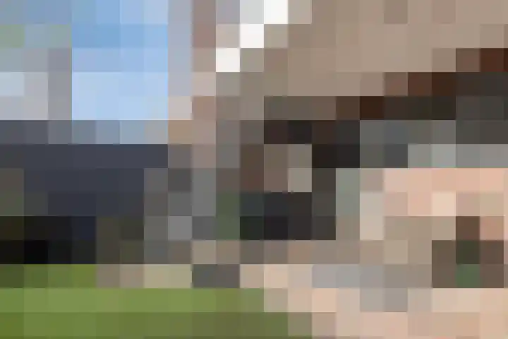 Zomerstraat 8 Hulst thumbnail 44
