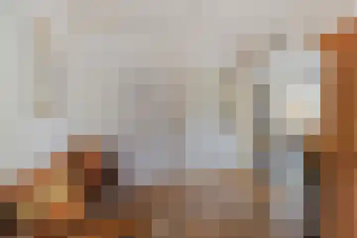Zomerstraat 8 Lith thumbnail 13