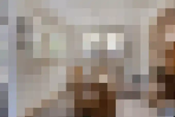 Zomerstraat 8 Lith thumbnail 20