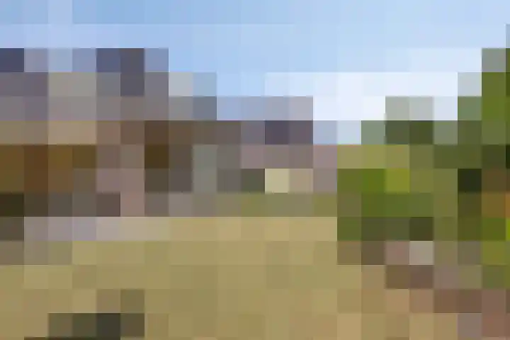Zomerstraat 8 Lith thumbnail 21