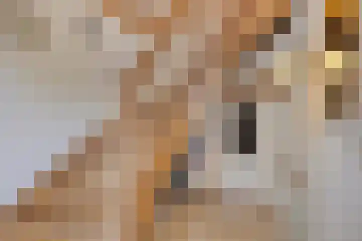 Zomerstraat 8 Lith thumbnail 30