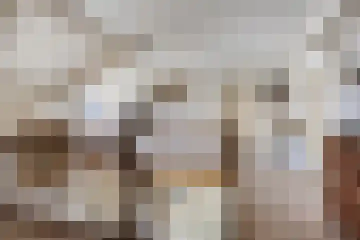 Zomerstraat 8 Lith thumbnail 32