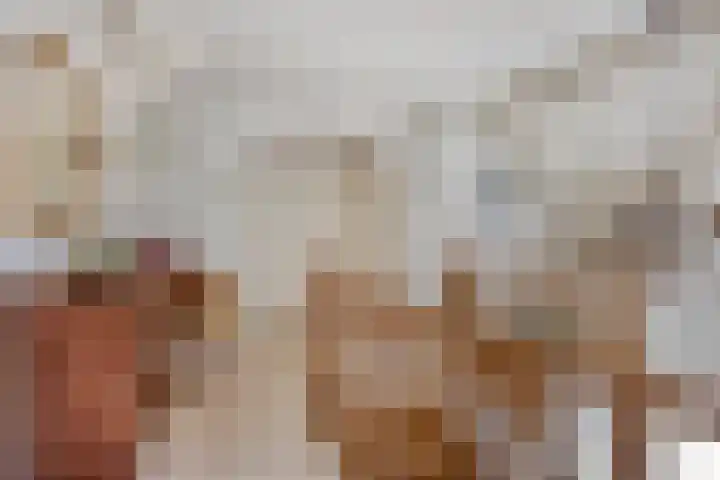 Zomerstraat 8 Lith thumbnail 34