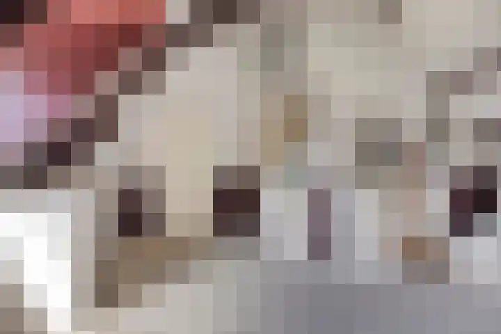 Zomerstraat 8 Lith thumbnail 37