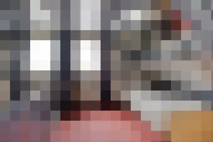 Zomerstraat 8 Lith thumbnail 42