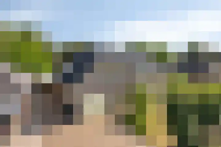 Zomerstraat 8 Lith thumbnail 46