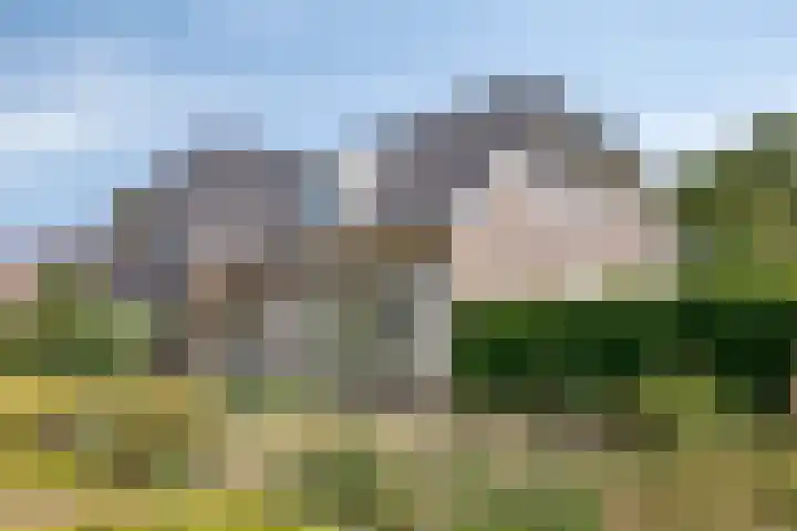 Zomerstraat 8 Lith thumbnail 6