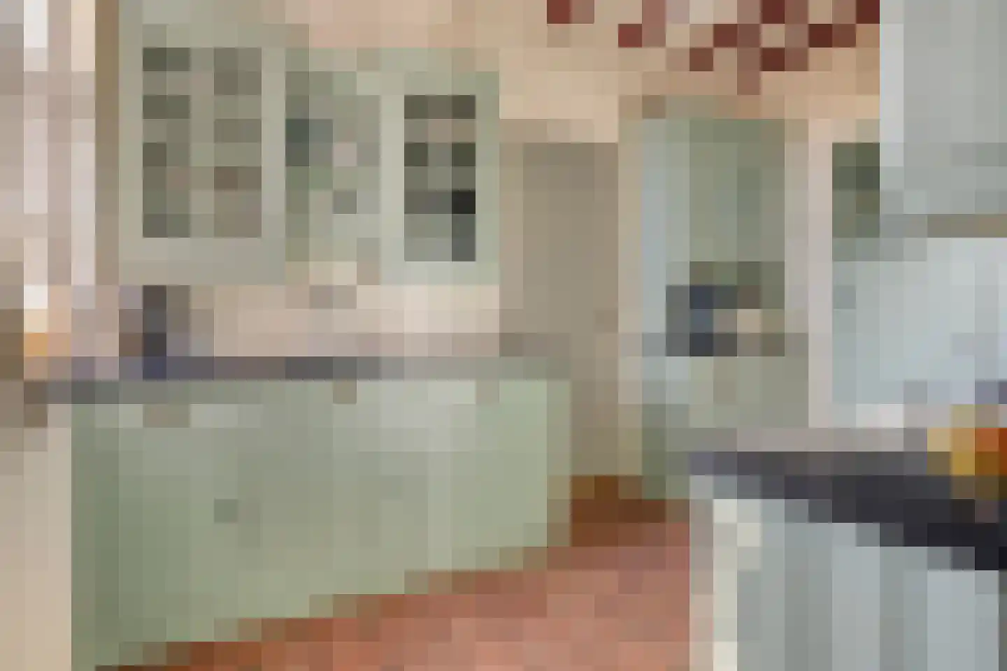 Zomerstraat 9 Ellewoutsdijk thumbnail 12