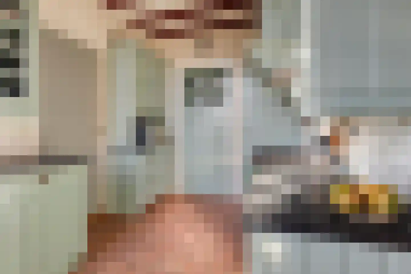 Zomerstraat 9 Ellewoutsdijk thumbnail 14