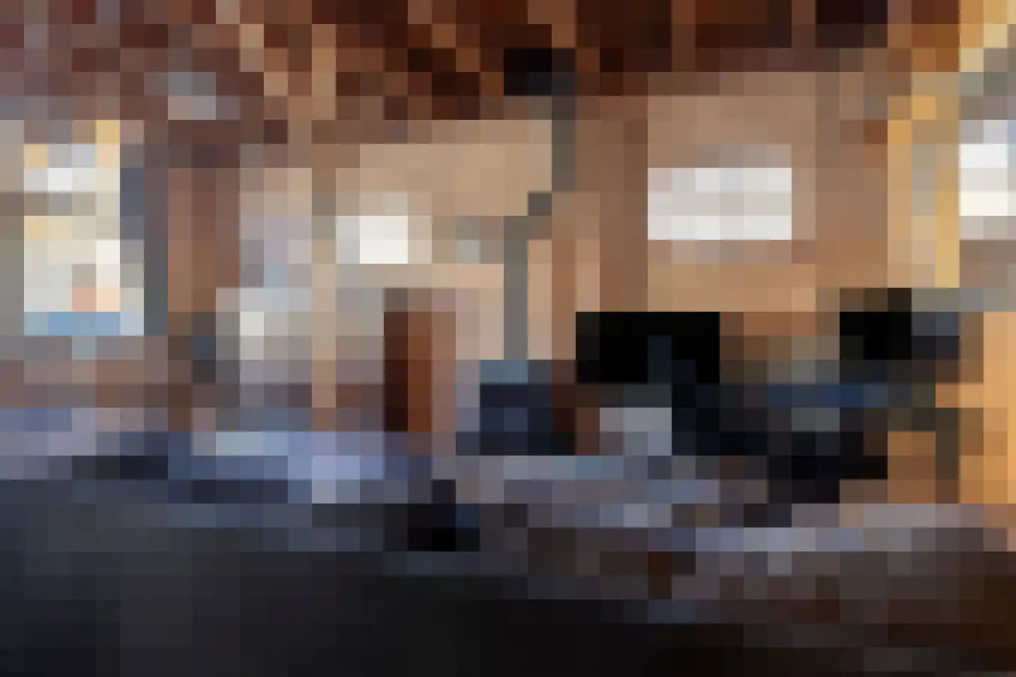 Zomerstraat 9 Ellewoutsdijk thumbnail 17