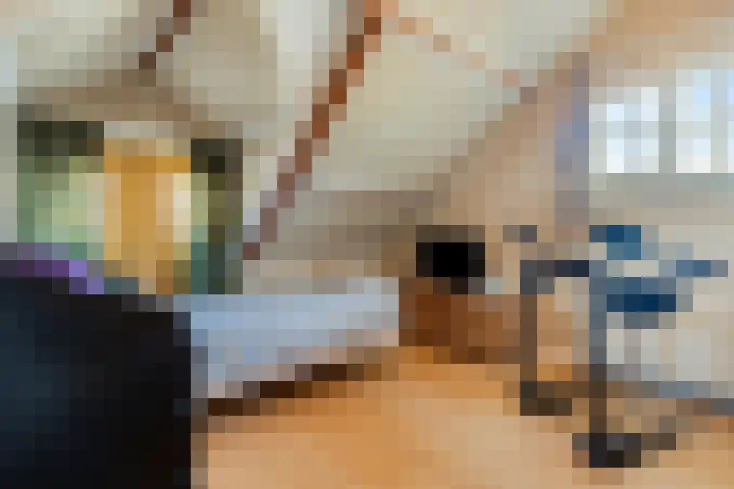 Zomerstraat 9 Ellewoutsdijk thumbnail 29