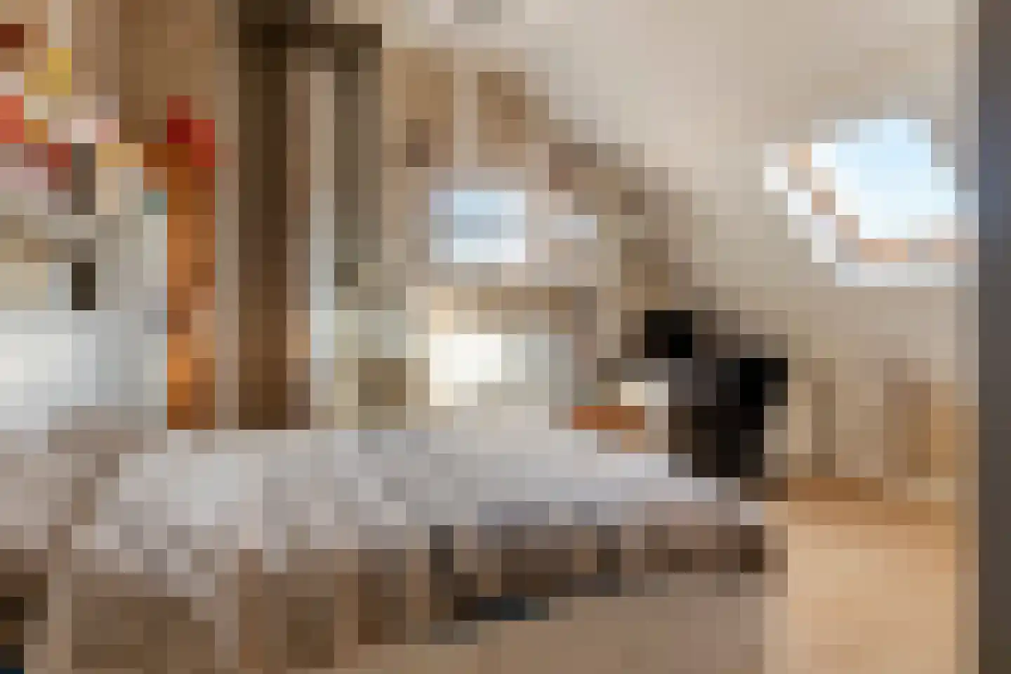 Zomerstraat 9 Ellewoutsdijk thumbnail 30