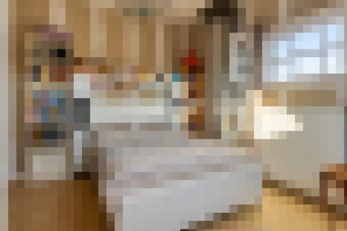 Zomerstraat 9 Ellewoutsdijk thumbnail 31