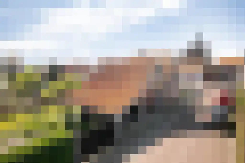 Zomerstraat 9 Ellewoutsdijk thumbnail 32